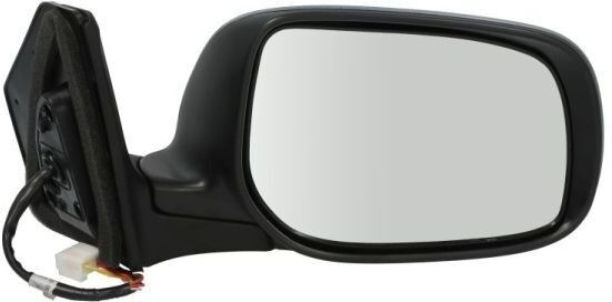 BLIC 5402-04-1139218P Wing mirror