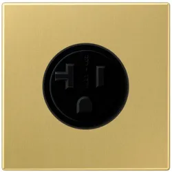 Jung Steckdose US-Norm NEMA ME 2521-20 C