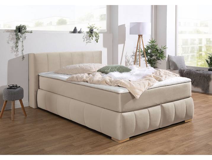 Boxspringbett, Samtoptik, Beige, 147×225 cm, Mit Komfortschaumtopper, Klassisch, Home Affaire