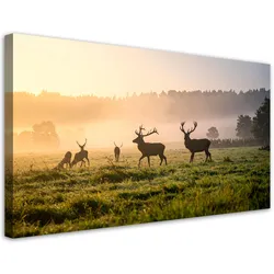 LEINWANDBILD Landschaften 100x50cm