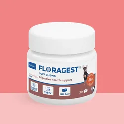 FLORAGEST S, Futterzusatz für Hunde (<15 kg), Packung mit 30 Tabletten