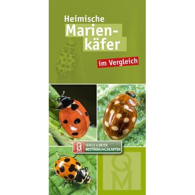 Heimische Marienkäfer, Sonstige von , Quelle & Meyer, 978-3-494-01913-0