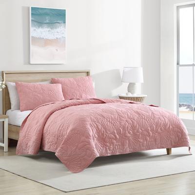 Caribbean Joe Solid Shell Outline Quilt Set