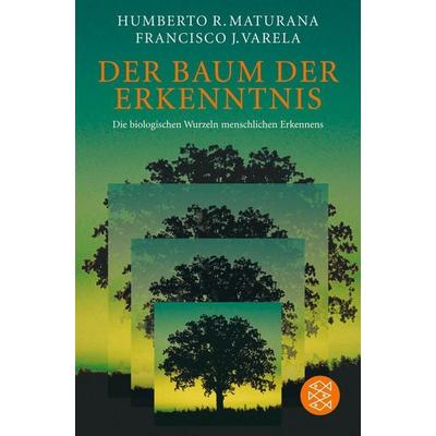 Der Baum der Erkenntnis, Taschenbuch von Humberto R. Maturana,Francisco J. Varela, Fischer Taschenbuch Verlag, 978-3-596-17855-1