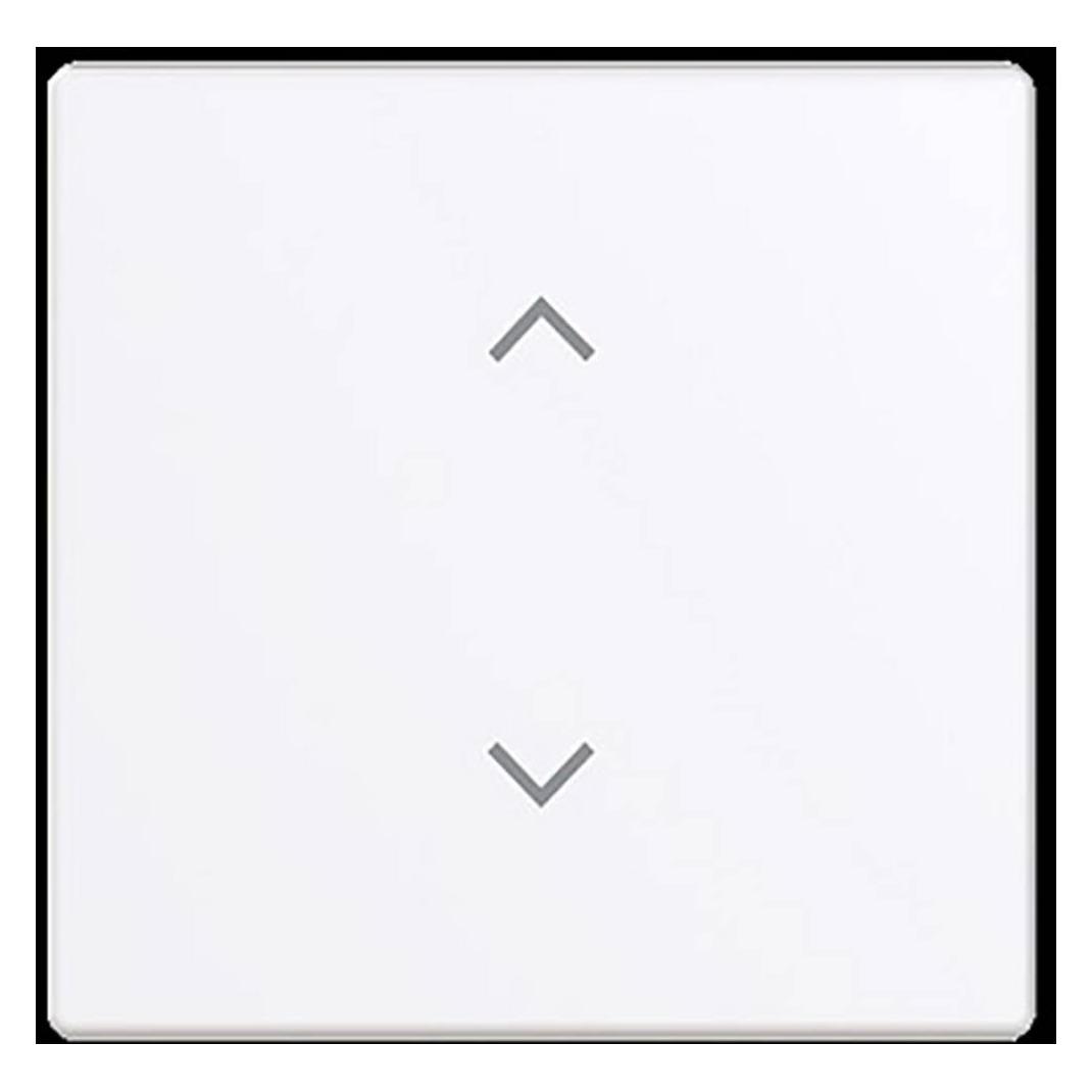 Busch-Jaeger Wippe 1-fach (2CKA006220A0988)