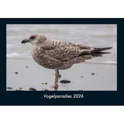 Vogelparadies 2026 Fotokalender DIN A4