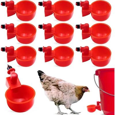 Uplifted Finds Chicken Waterer Cups Poultry Drinking Feeder Cups 10 Pcs