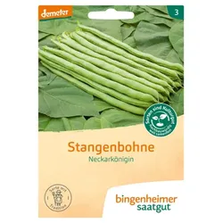 Bingenheimer Saatgut Stangenbohne Neckarkönigin demeter