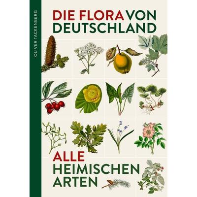 Die Flora von Deutschland. Alle heimischen Arten, Gebundene Ausgabe von Oliver Tackenberg, Favoritenpresse GmbH, 978-3-96849-064-9