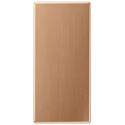 Jung Abdeckung BRG 50 NA
