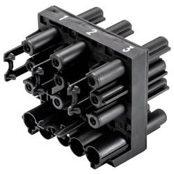 Wieland Electric 92.050.0153.1 Verteiler