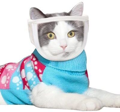 Pet Hub Breathable Cat Muzzles: Travel & Grooming Essentials S