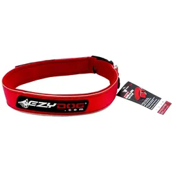 Hundehalsband Ezydog CollarWide 3XL Rot