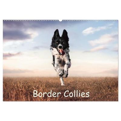 Border Collie Kalender – Ausdrucksstarke Close-up-Portraits durch die Jahreszeiten (Wandkalender 2027 DIN A2 quer), CALVENDO Monatskalender