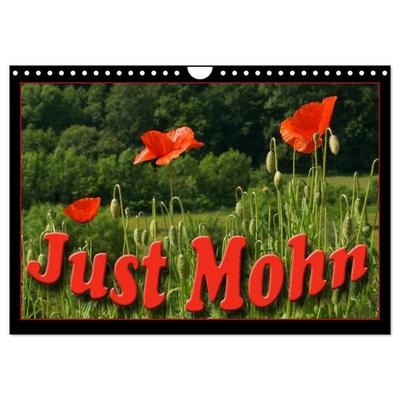 Just Mohn (Wandkalender 2026 DIN A4 quer), CALVENDO Monatskalender