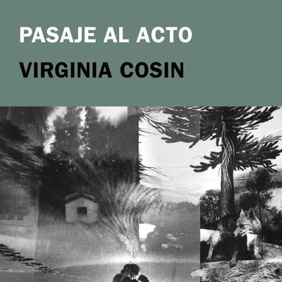 Pasaje al acto - Virginia Cosin, Audio, 9789180134163