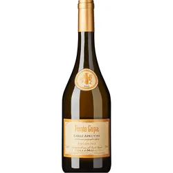 ́Fonte Cupa ́ · Pecorino Controguerra DOC 2025, Camillo Montori, Abruzzen