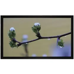 Medium Frame Budget Rahmenleinwand BM 160x120 cm AM 176x136 cm BxH 4:3 Format 8cm schwarzer Rahmen Typ D (4:3), Leinwand, Schwarz
