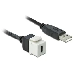 Delock Keystone Modul USB 2.0 C Buchse > USB 2.0 A Stecker mit Kabel