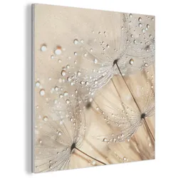 AKUSTIKBILD Löwenzahn - Abstrakt - Natur - Beige Wandbilder 60x60 cm