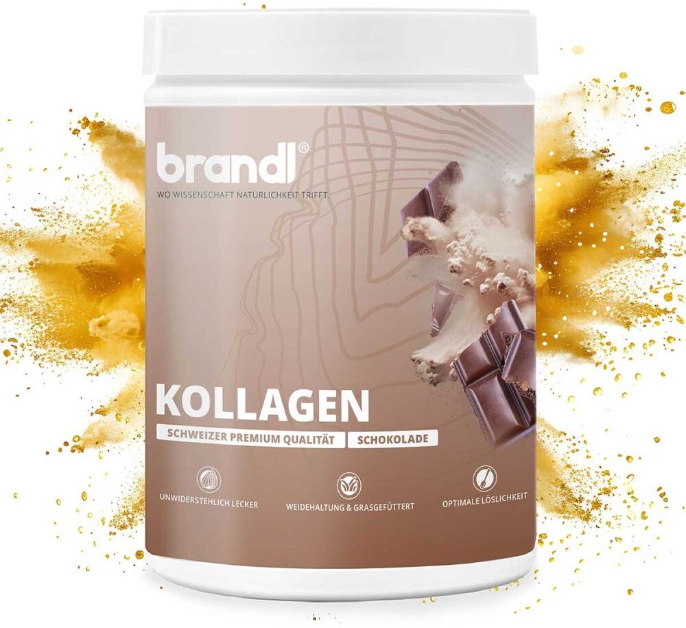 Brandl Kollagen Pulver Schokolade