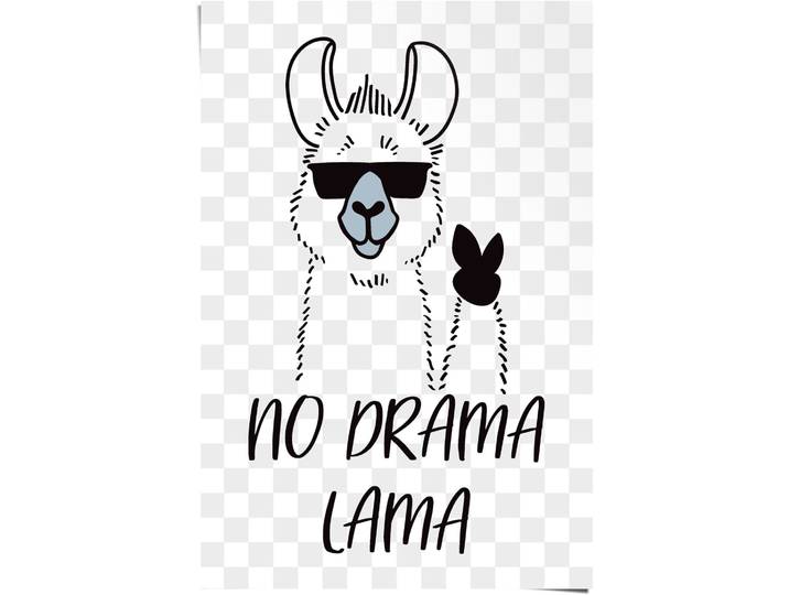 Poster REINDERS No Drama Lama , weiss (farbe bild(er): weiß), B:61cm H:91,5cm, Papier, Bilder, Poster