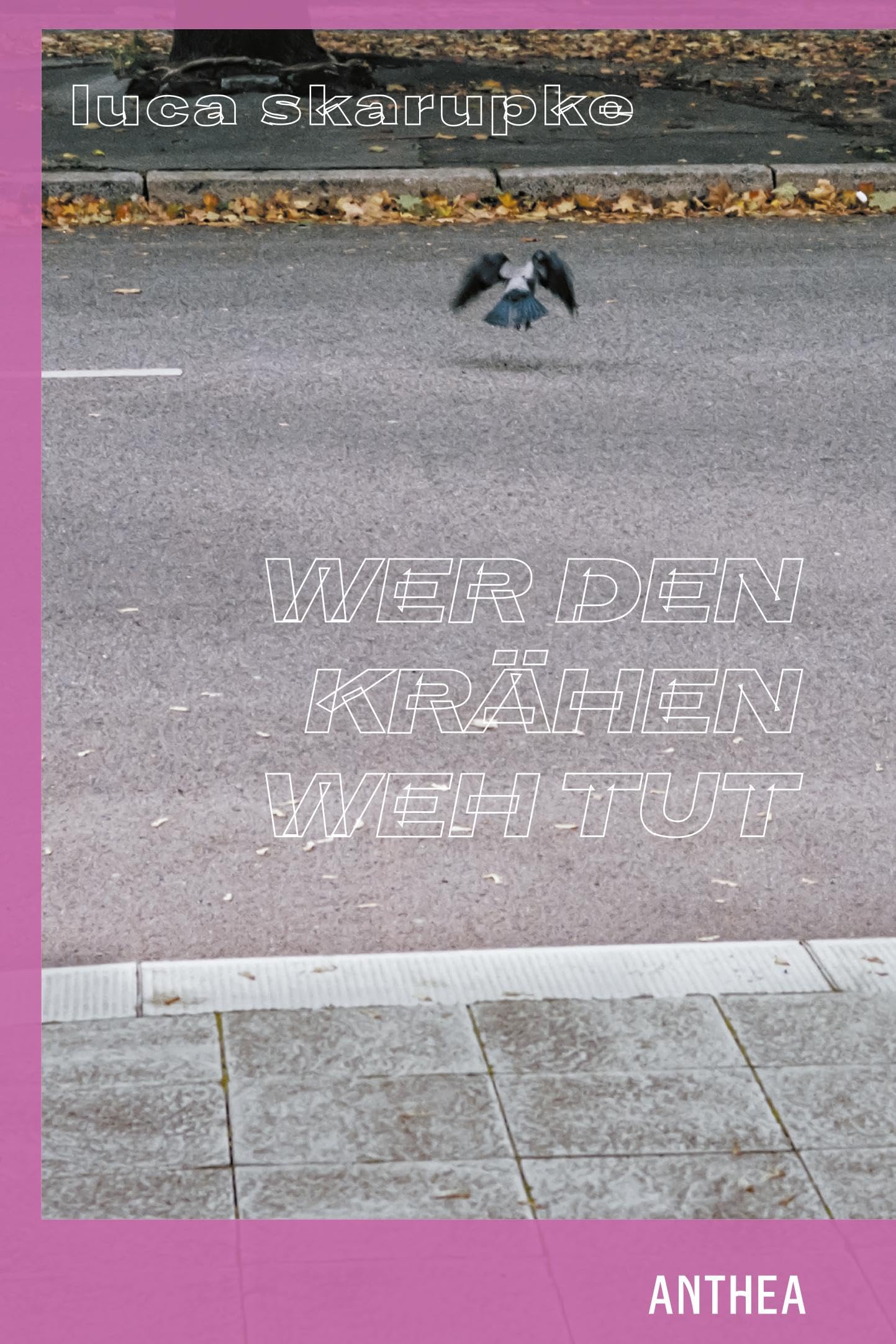 Luca Skarupke - wer den krähen wehtut: lyrik - Preis vom 19.10.2026 19:33:35 h