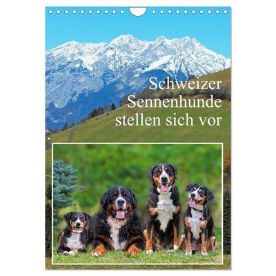 Schweizer Sennenhunde stellen sich vor (Wandkalender 2026 DIN A4 hoch), CALVENDO Monatskalender
