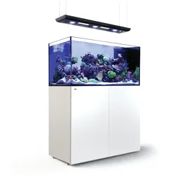 Red Sea REEFERTM Peninsula 500 G2+ Deluxe System ReefLED 90 - Weiss