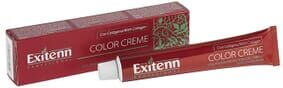 Exitenn Color Creme Tintura #10 - Int. Intense Claro 60 ml
