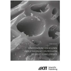 Konditionierung von biogenen Energieträgern aus den Produkten der bioliq-Schnellpyrolyse, Fachbücher von Thomas Nicoleit