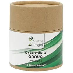 Artemisia annua Presslinge (150 Stück) in ökol. Verpackung - Vital Engel