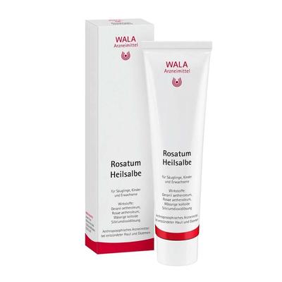 Rosatum Heilsalbe 100 g Salbe