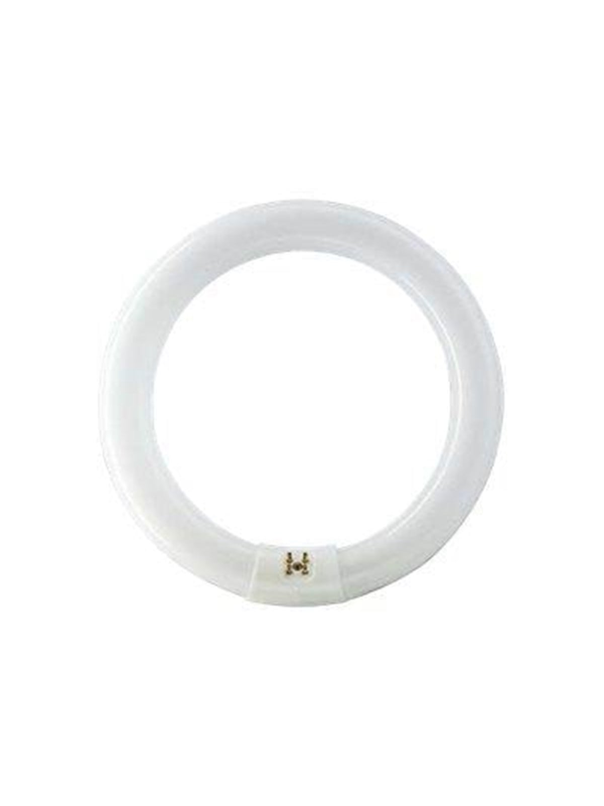 Philips Fluoreszierende Glühbirne Master TL-E Cirkular 40W/840 G10q