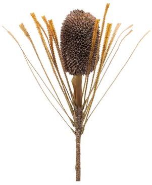 Melrose International Fall Banksia Pod Stem (Set of 2)