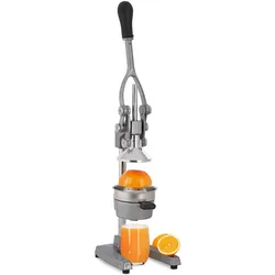 Relaxdays Saftpresse, Entsafter, Silber