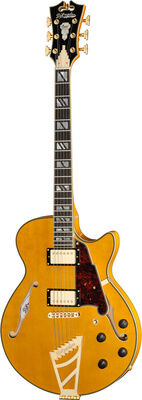 DAngelico Excel SS Amber Amber
