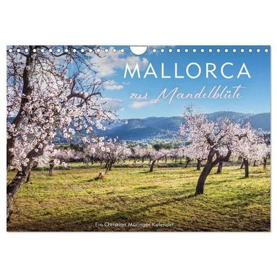 Mallorca zur Mandelblüte (Wandkalender 2027 DIN A4 quer), CALVENDO Monatskalender