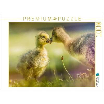 CALVENDO Puzzle Zärtliche Begegnung - Ein Moment unter Gänseküken | 1000 Teile Lege-Größe 64x48cm Foto-Puzzle für glückliche Stunden, Sonstige von ,