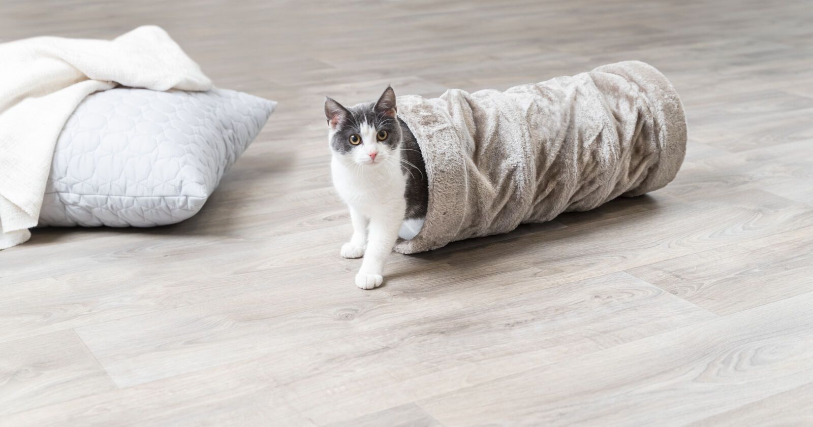 TRIXIE Spieltunnel, Plüsch, Ø 22 x 60 cm, grau