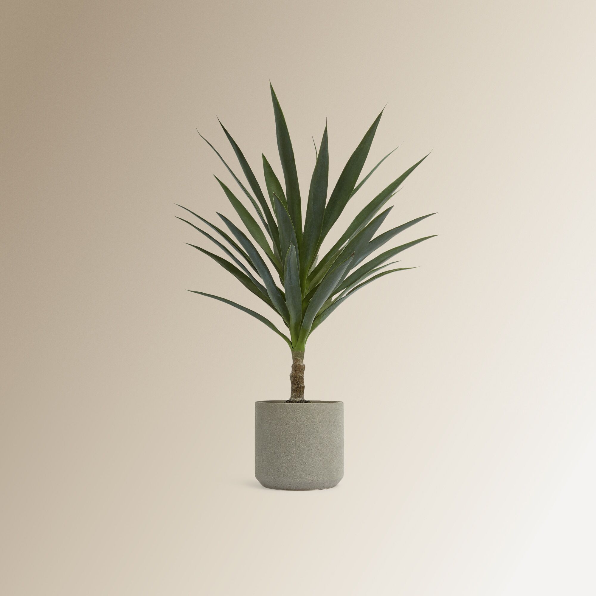 El Corte Inglés Planta artificial Heneken . Verde