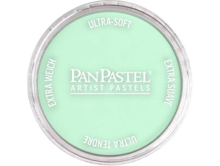 Pastels Kleur: Perm Green Tint van Panpastel