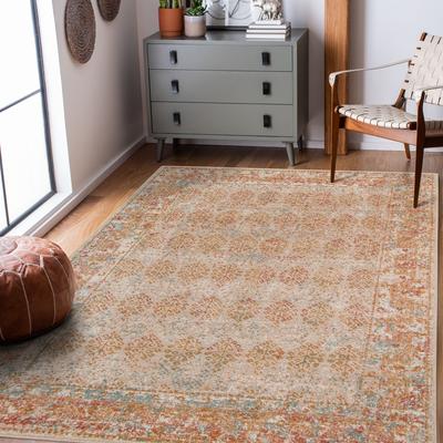 Amer Rugs Ethereal Vintage Bordered Area Rug
