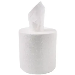 Papierhandtuch 2-lagig geprägt, Rolle, 1 x 6 STK