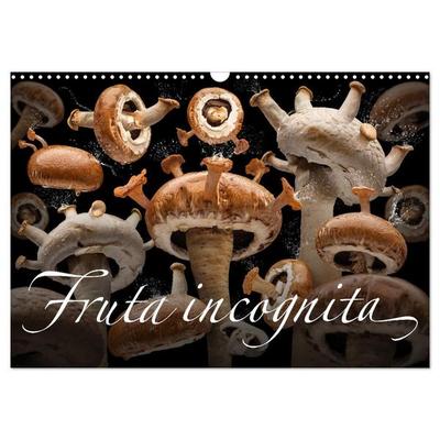 Fruta incognita - Die wundersame Welt des Fotografen Olaf Bruhn (Wandkalender 2027 DIN A3 quer), CALVENDO Monatskalender