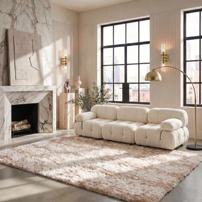 SAFAVIEH Rainbow Shag George Shag Rug