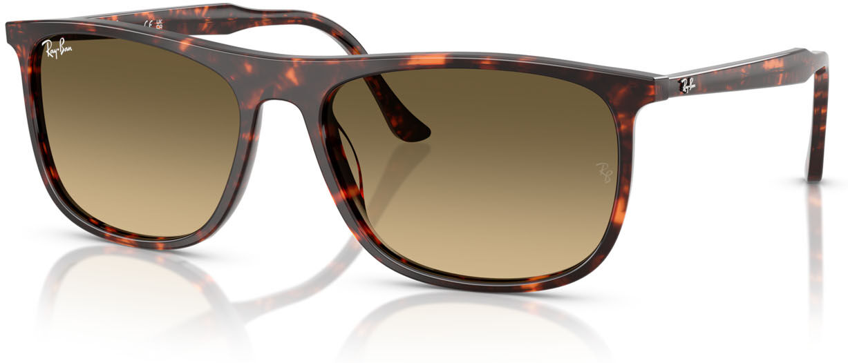 Ray-Ban 2216 (14290A)