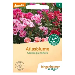 Bingenheimer Saatgut Atlasblume demeter