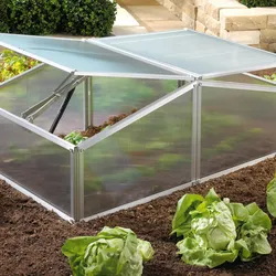 Vitavia Frühbeet "Gaia XS",aluminium blank,0,6 m2
