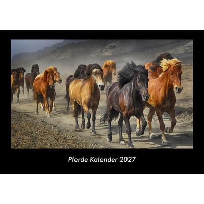 Pferde Kalender 2027 Fotokalender DIN A3